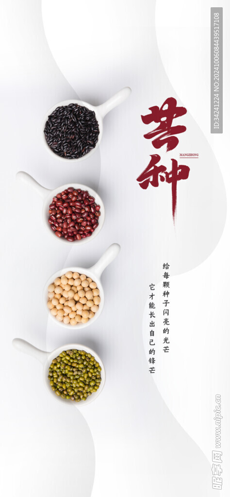 芒种节气宣传海报展板