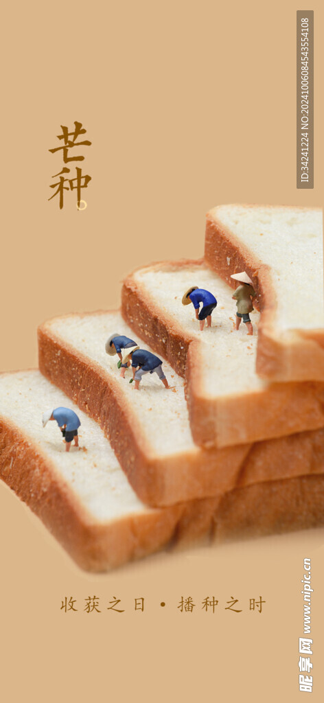 芒种节气宣传海报展板