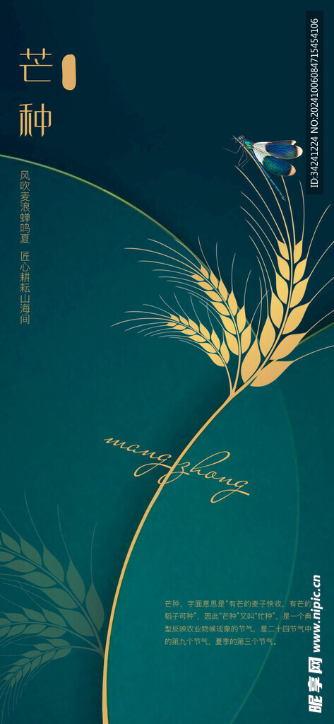 芒种节气宣传海报展板