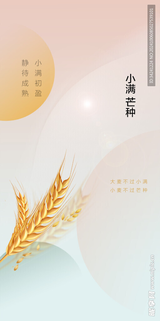 芒种节气宣传海报展板