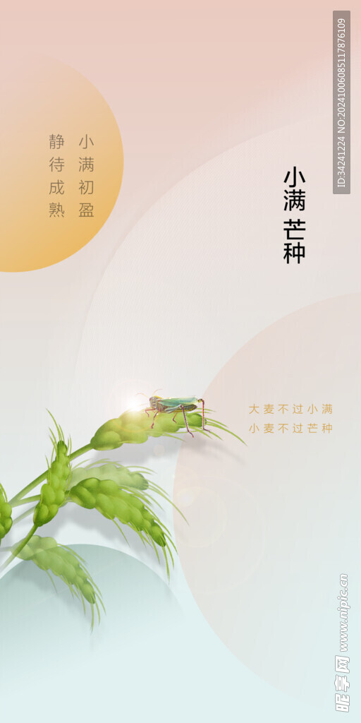 芒种节气宣传海报展板