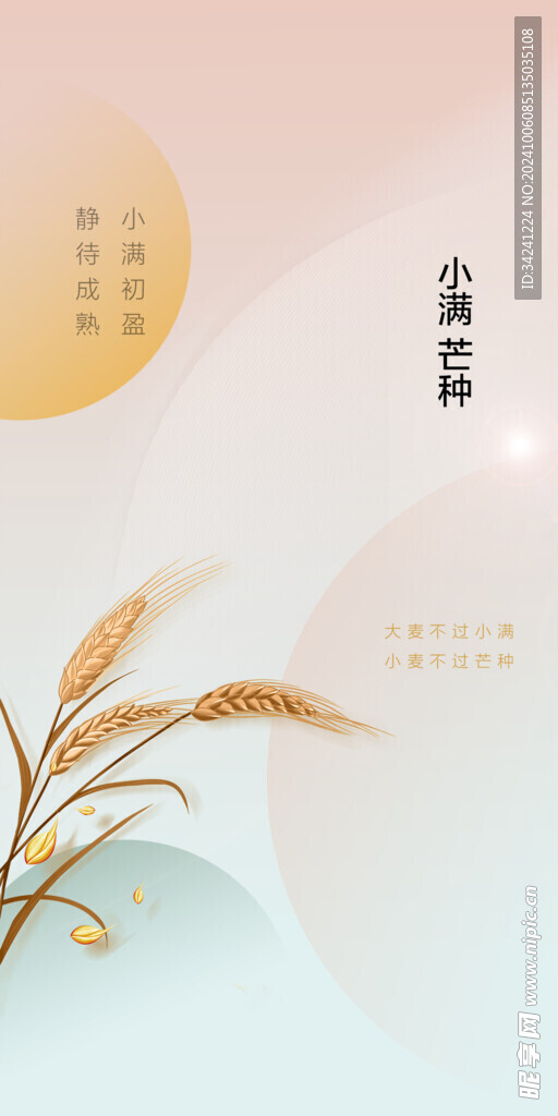 芒种节气宣传海报展板