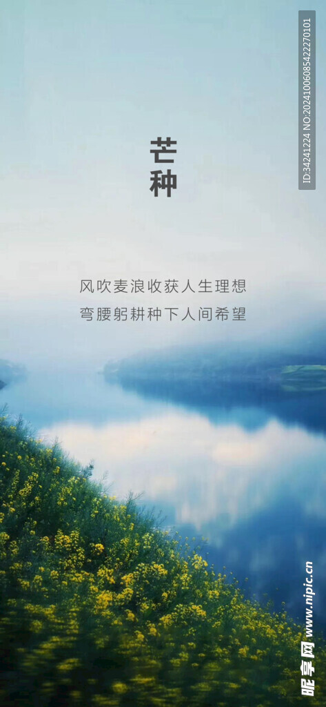 芒种节气宣传海报展板