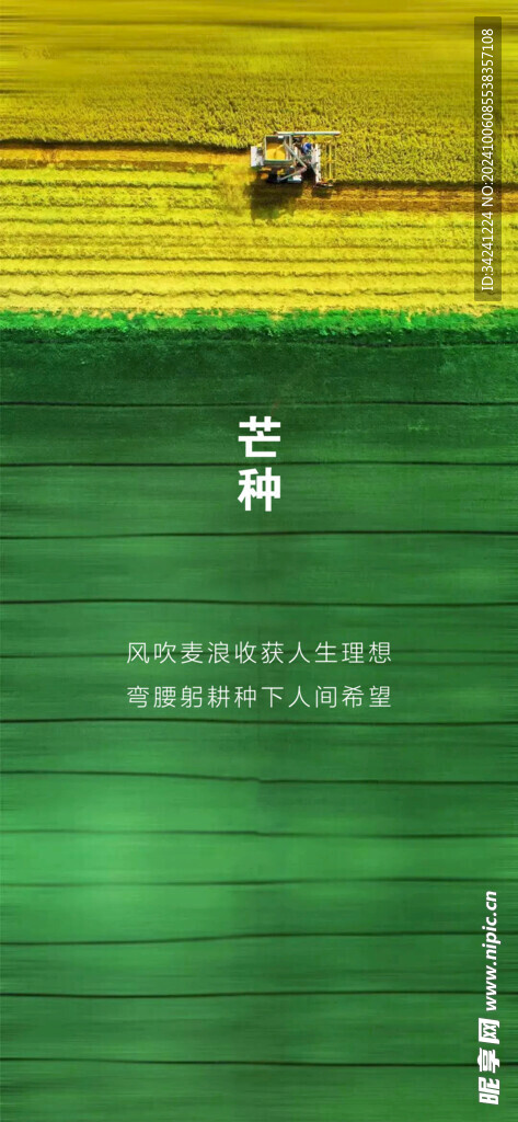 芒种节气宣传海报展板