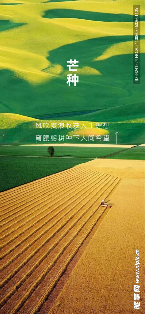 芒种节气宣传海报展板