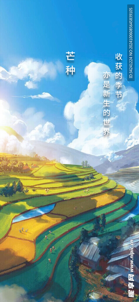 芒种节气宣传海报展板