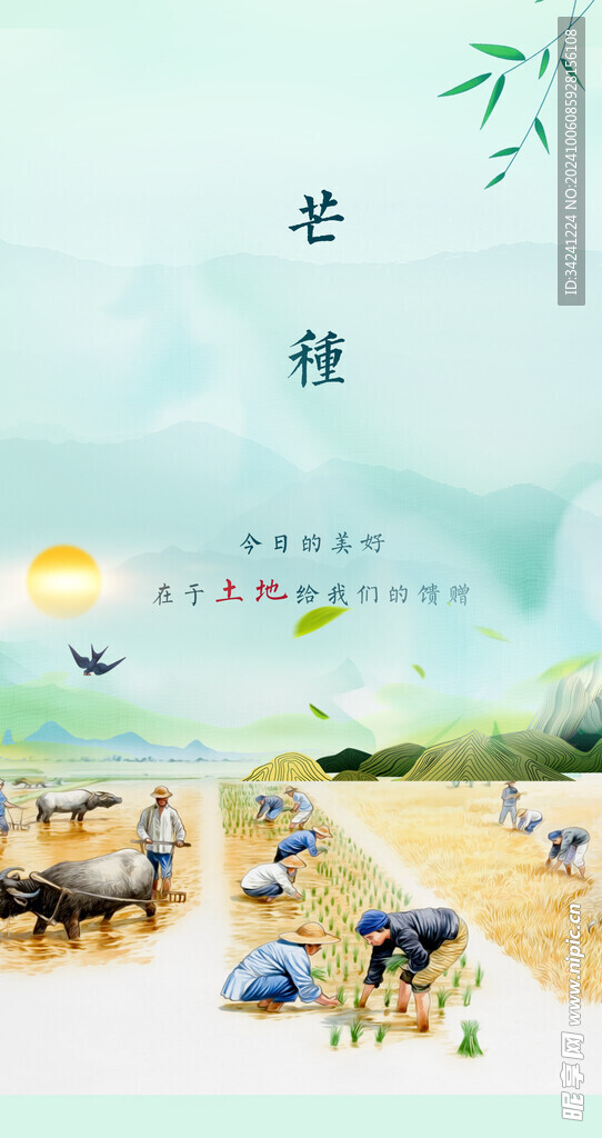 芒种节气宣传海报展板