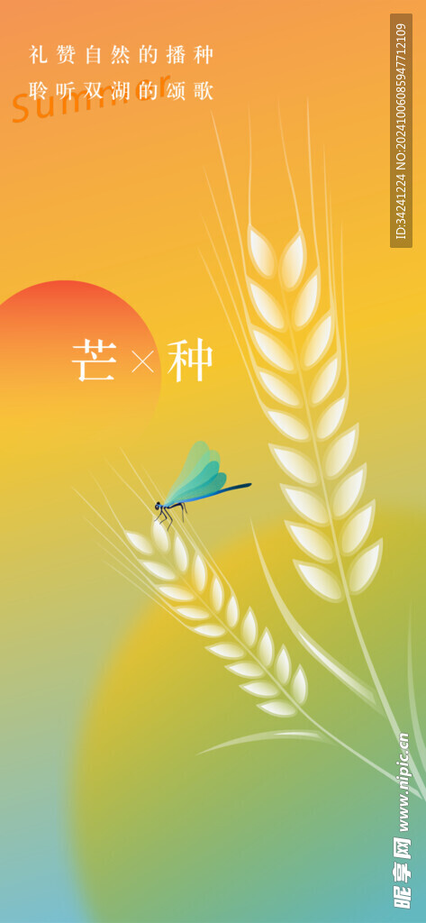 芒种节气宣传海报展板