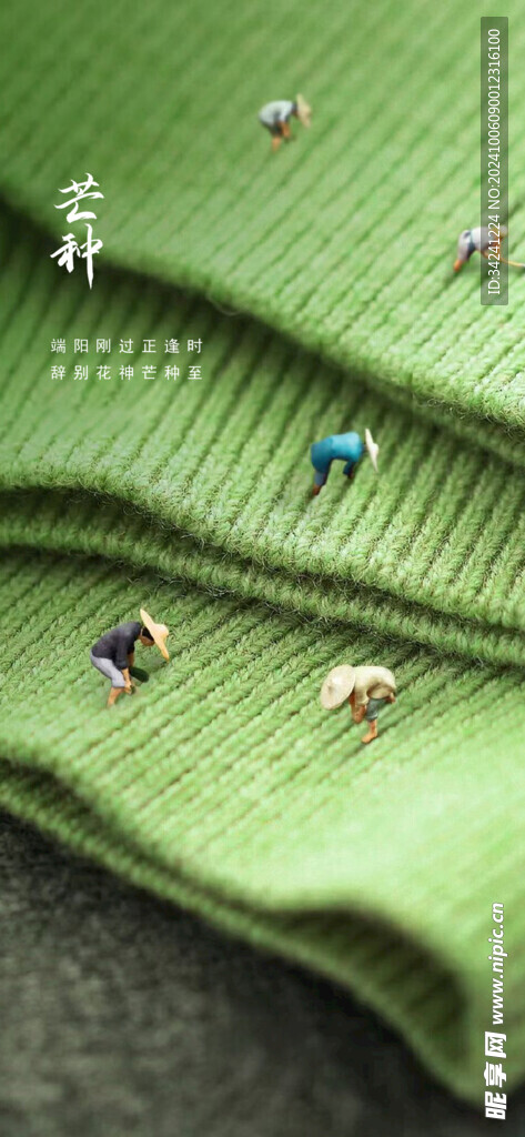 芒种节气宣传海报展板