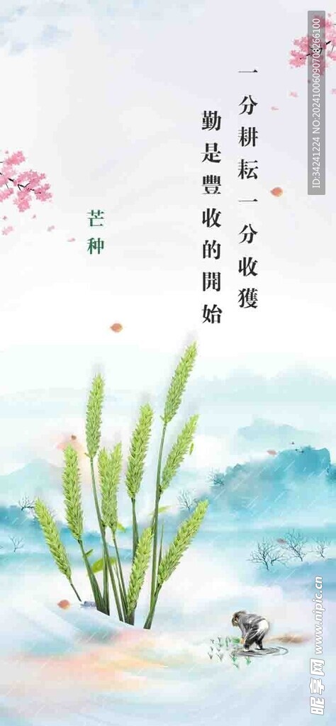 芒种节气宣传海报展板