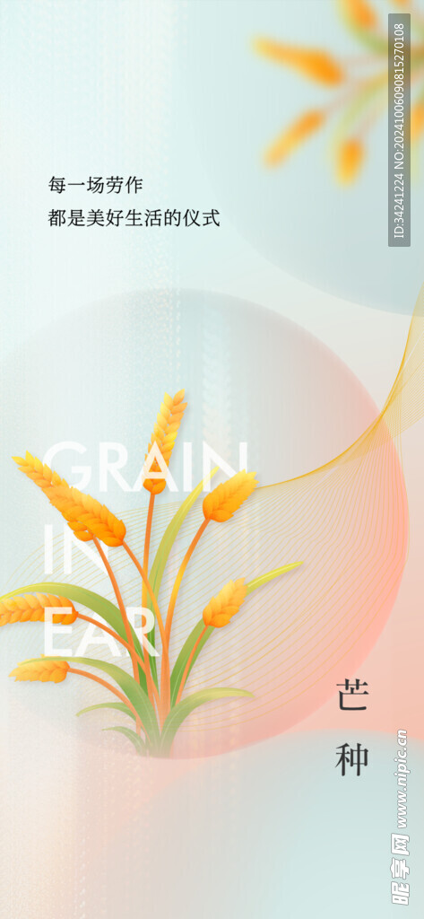 芒种节气宣传海报展板