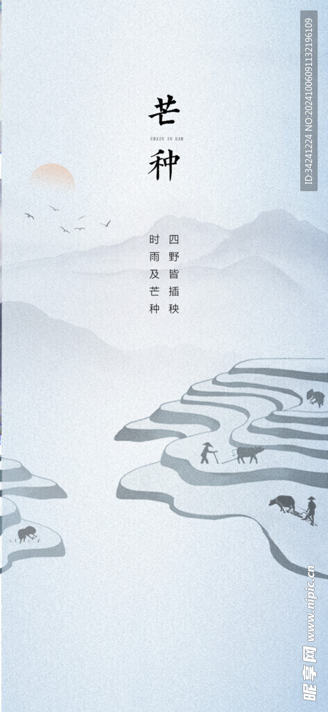 芒种节气宣传海报展板