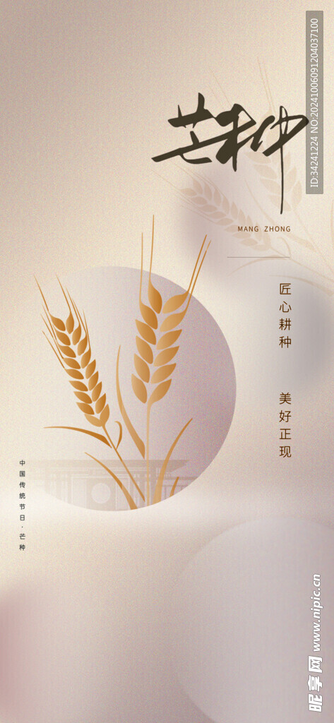 芒种节气宣传海报展板