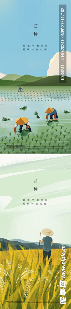 芒种节气宣传海报展板