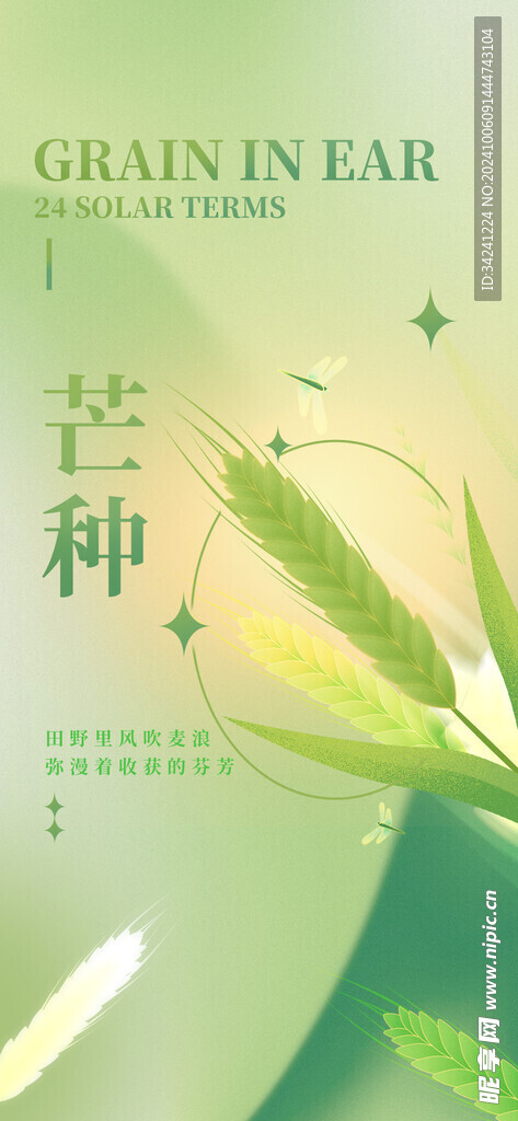 芒种节气宣传海报展板