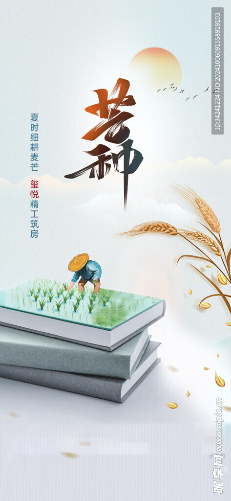 芒种节气宣传海报展板