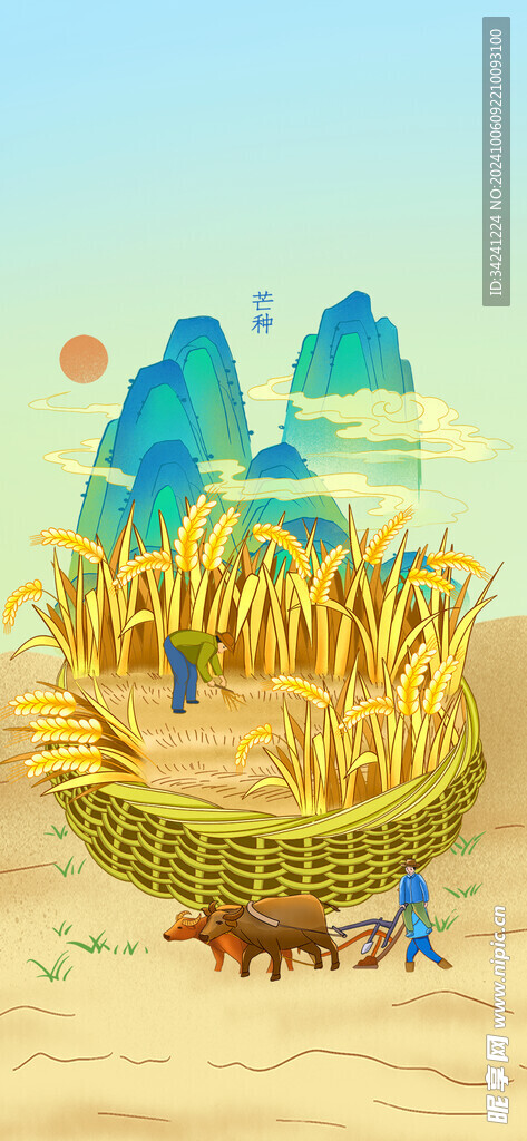 芒种节气宣传海报展板