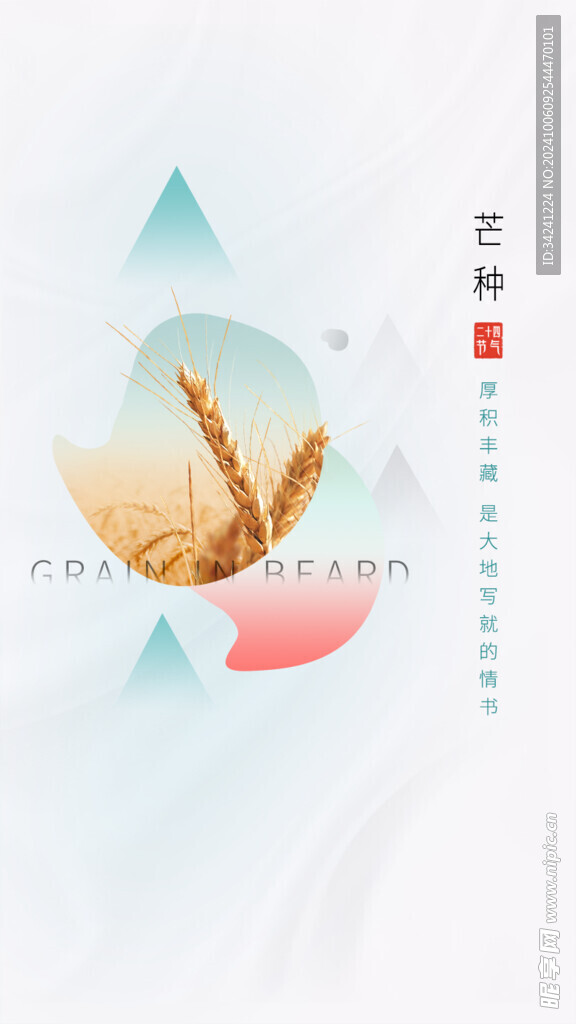芒种节气宣传海报展板