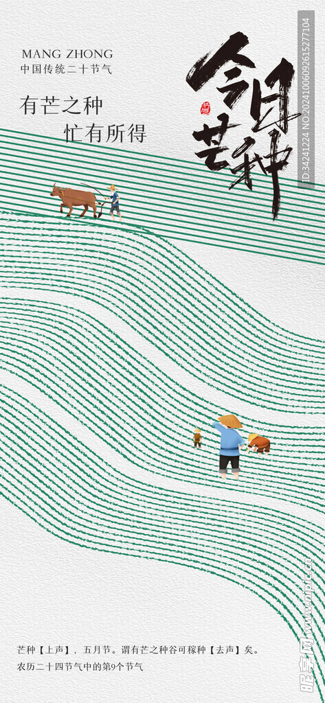 芒种节气宣传海报展板