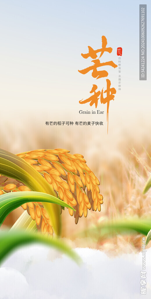 芒种节气宣传海报展板