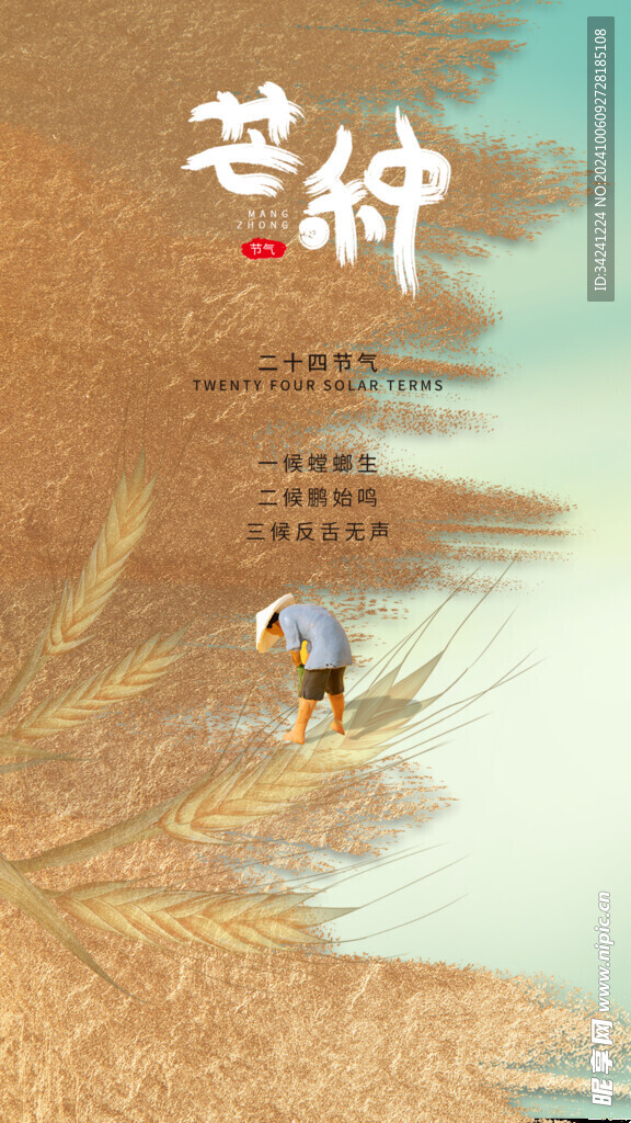 芒种节气宣传海报展板