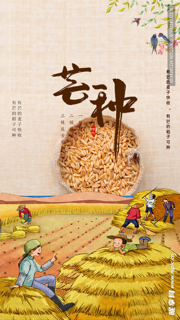 芒种节气宣传海报展板