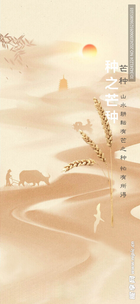 芒种节气宣传海报展板