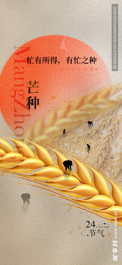 芒种节气宣传海报展板