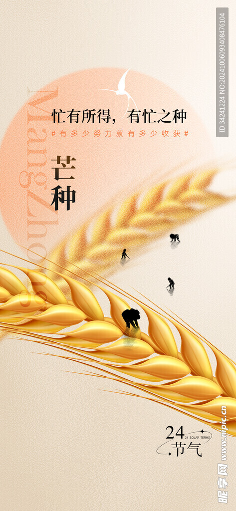 芒种节气宣传海报展板