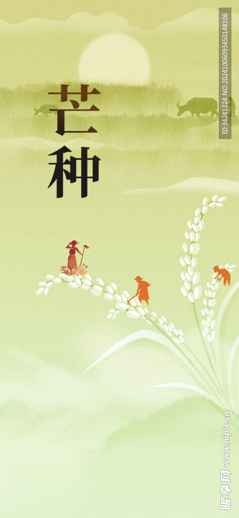 芒种节气宣传海报展板