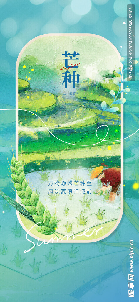 芒种节气宣传海报展板