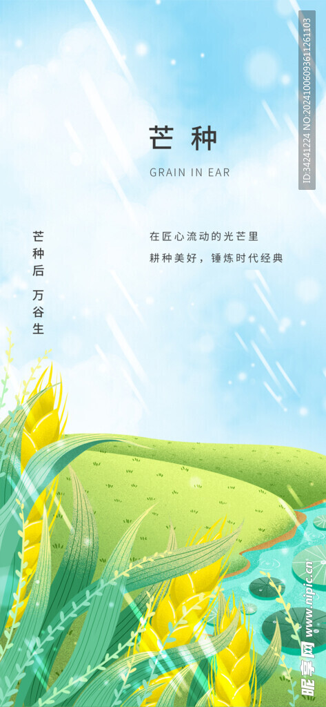 芒种节气宣传海报展板