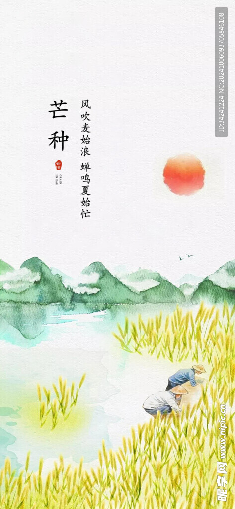 芒种节气宣传海报展板