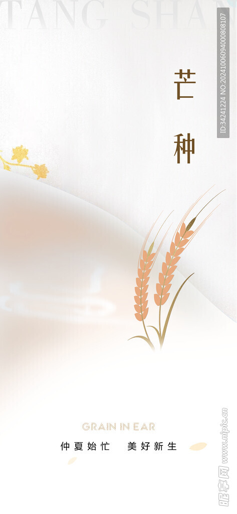 芒种节气宣传海报展板