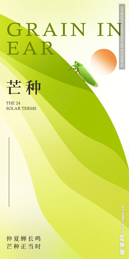 芒种节气宣传海报展板