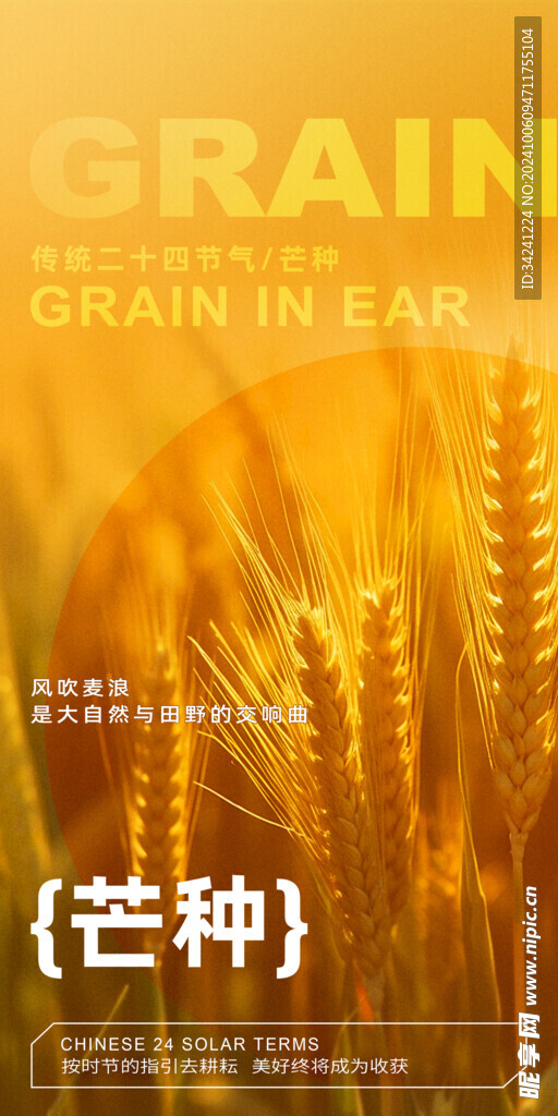 芒种节气宣传海报展板