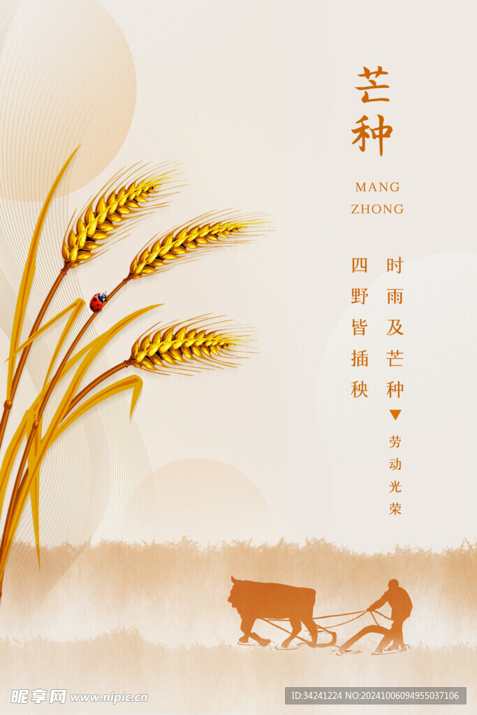 芒种节气宣传海报展板