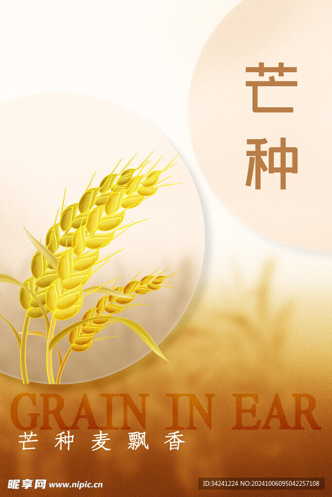 芒种节气宣传海报展板