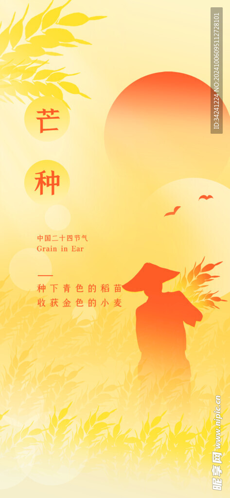 芒种节气宣传海报展板