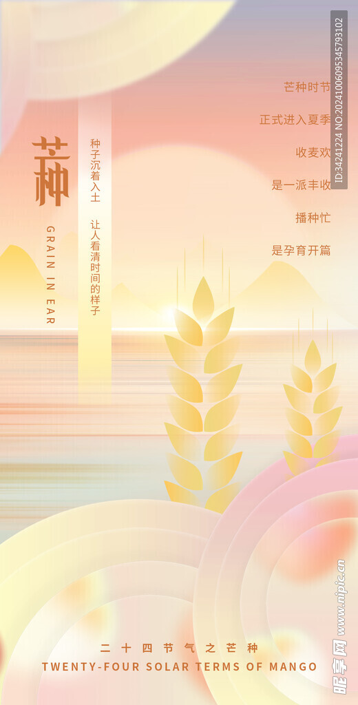 芒种节气宣传海报展板