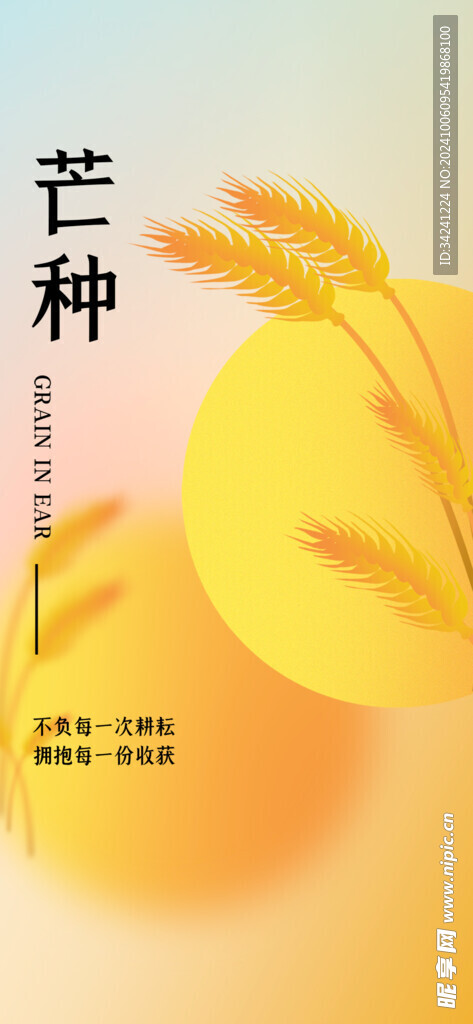 芒种节气宣传海报展板