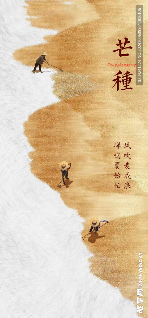 芒种节气宣传海报展板