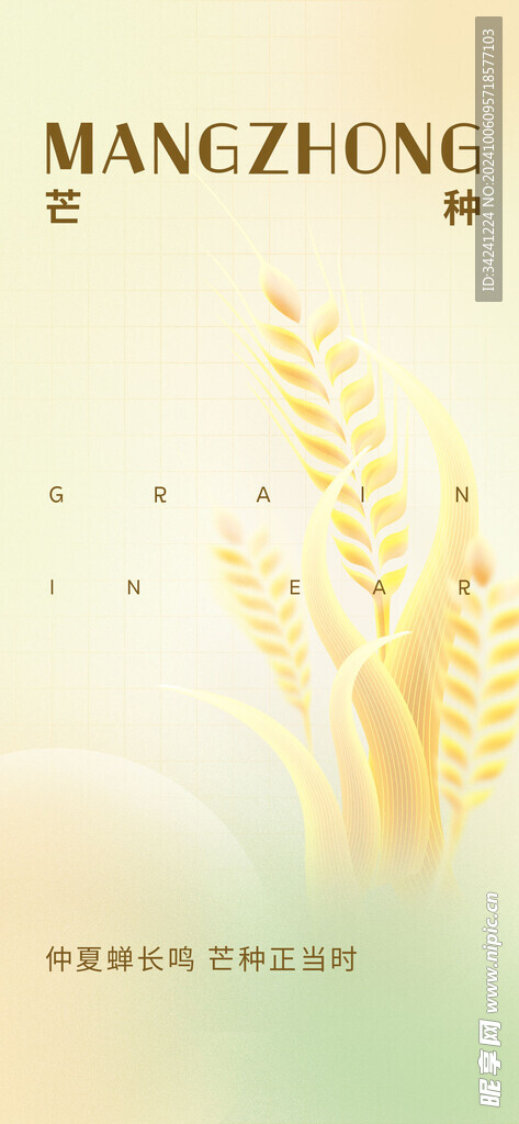 芒种节气宣传海报展板