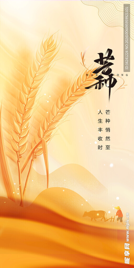 芒种节气宣传海报展板