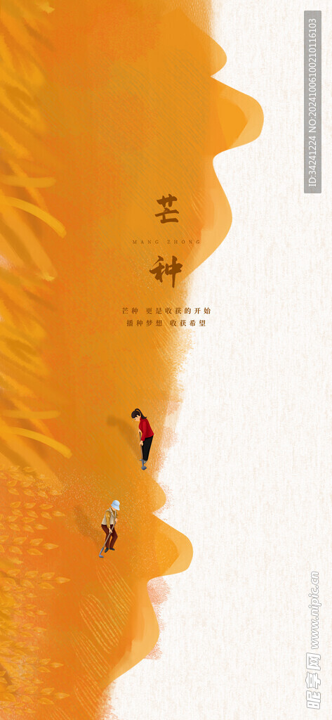 芒种节气宣传海报展板