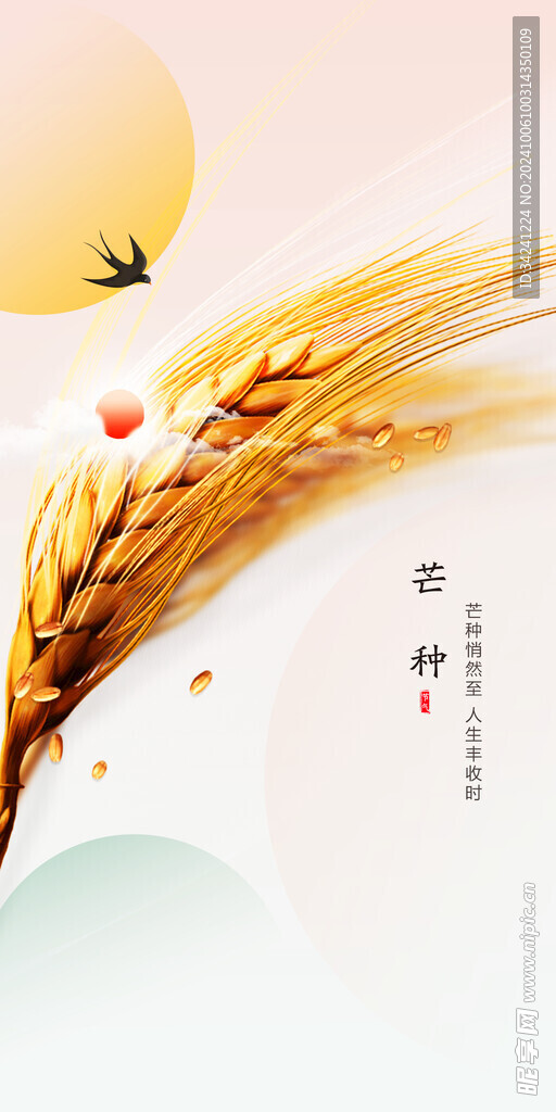 芒种节气宣传海报展板