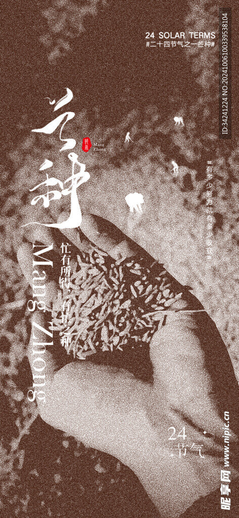 芒种节气宣传海报展板