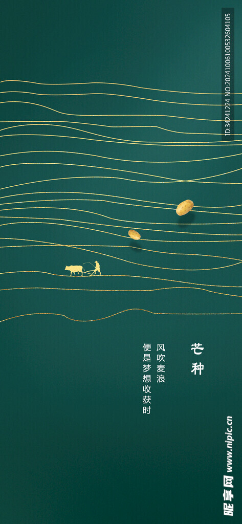 芒种节气宣传海报展板