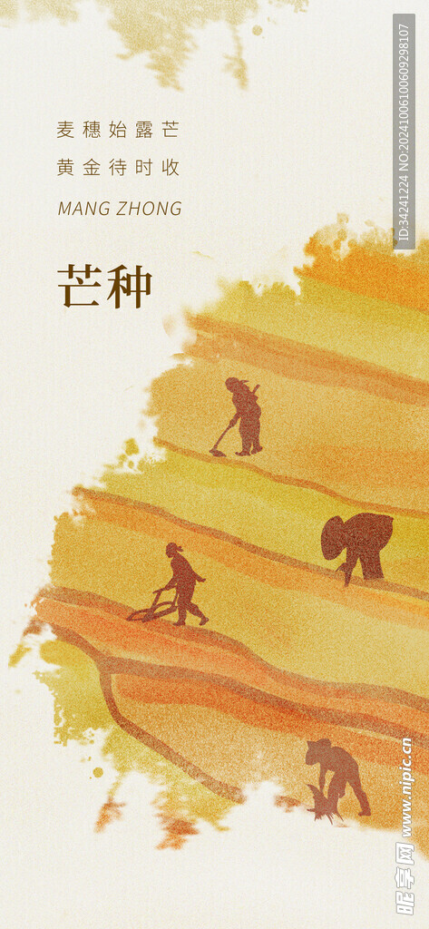 芒种节气宣传海报展板