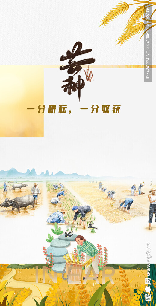 芒种节气宣传海报展板